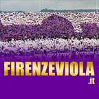 www.firenzeviola.it