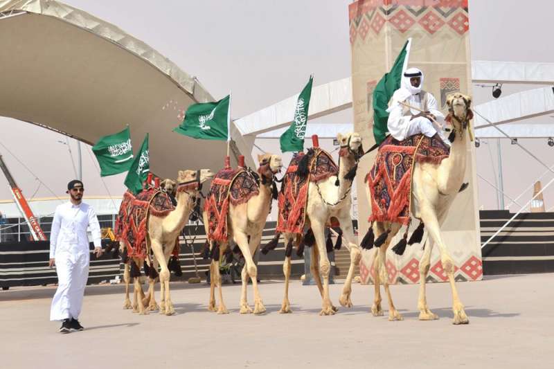 abdulaziz-camel-festival-8-1573735.jpg