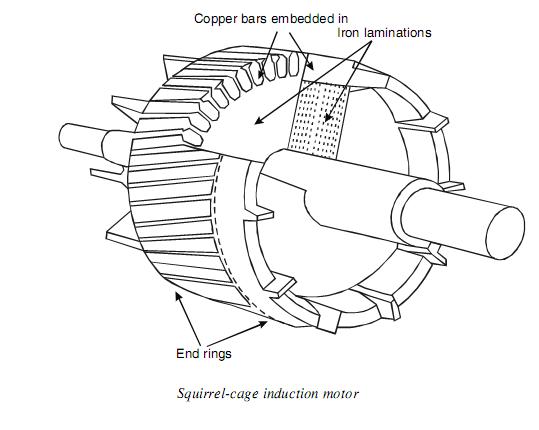 Squirrel-cage induction motor.JPG